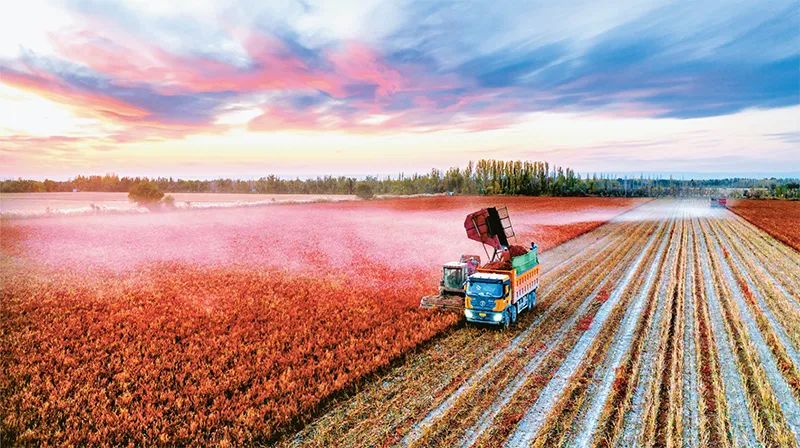 完整准确贯彻新时代党的治疆方略扎实推进中国式现代化的新疆实践