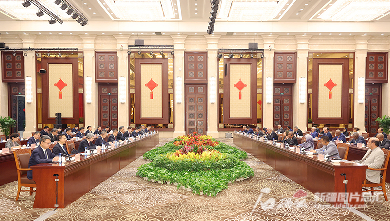 马兴瑞艾尔肯·吐尼亚孜会见阿盟代表团一行